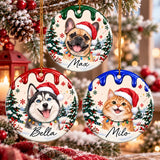 Personalized Pet Christmas Ornament – Custom Dog & Cat Name Ceramic Keepsake