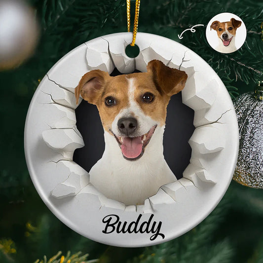 CustomPhoto3DEffectSnowFunnyDogCatPet PersonalizedCircleCeramicOrnament DEF
