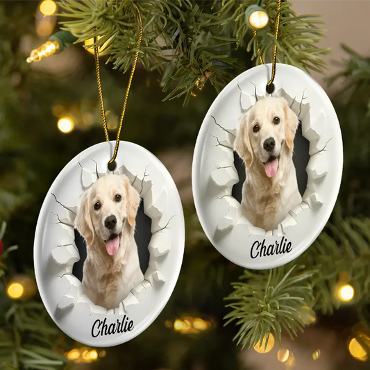 CustomPhoto3DEffectSnowFunnyDogCatPet PersonalizedCircleCeramicOrnament MK1