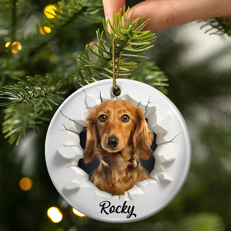 CustomPhoto3DEffectSnowFunnyDogCatPet PersonalizedCircleCeramicOrnament MK2