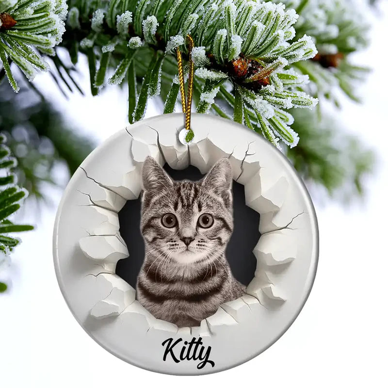 CustomPhoto3DEffectSnowFunnyDogCatPet PersonalizedCircleCeramicOrnament MK3