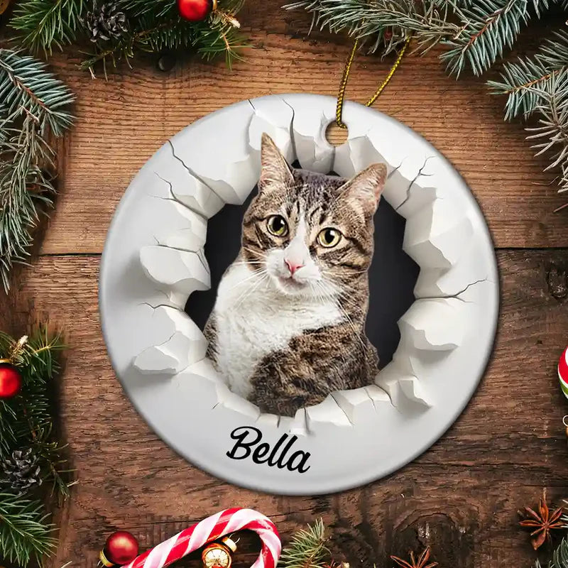 CustomPhoto3DEffectSnowFunnyDogCatPet PersonalizedCircleCeramicOrnament MK4