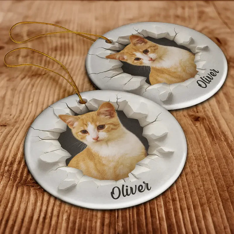 CustomPhoto3DEffectSnowFunnyDogCatPet PersonalizedCircleCeramicOrnament MK5
